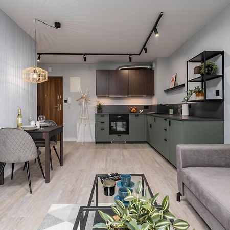 Citycenterapartments-11/21 Bielsko-Biała Buitenkant foto