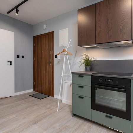 Citycenterapartments-11/21 Bielsko-Biała Buitenkant foto