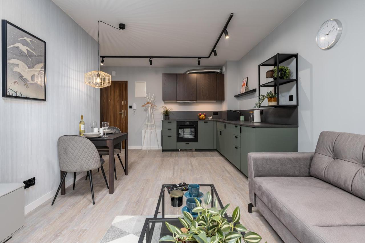 Citycenterapartments-11/21 Bielsko-Biała Buitenkant foto